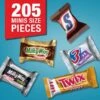 MARS Chocolate Favorites Minis Size Candy Bars Assorted Variety Mix Bag, 62.6 Oz, 205 Pieces (220-00016)