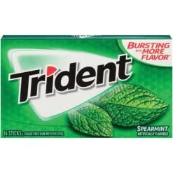 Trident Sugar Free Spearmint Gum, 14 Pieces/Pack, 12/Box (MOZ01106)