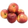 Fresh Gala Apples, 8/Pack (900-00032) -Gerber || Lindt || Mars Sales s1113943 s7