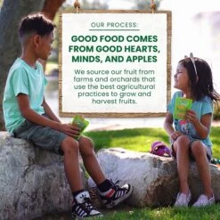 GoGo SqueeZ Variety Pack Apple/Cinnamon, 3.2 Oz, 20 Pk (MNA04331) -Gerber || Lindt || Mars Sales sp165895647 s7