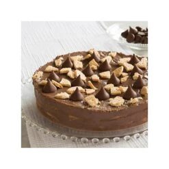 HERSHEY'S KISSES Milk Chocolate Pieces, 56 Oz., 330/Bag (HEC12295) -Gerber || Lindt || Mars Sales sp183572021 s7