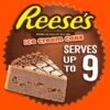 Carvel Reese's Ice Cream Cake (352-00002) -Gerber || Lindt || Mars Sales sp196442580 s7